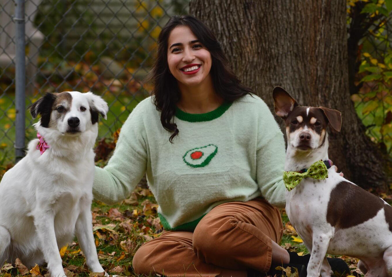 Culinary Director at Bark & Bloom – Wholesome, medicinal, love-filled pet recipes.